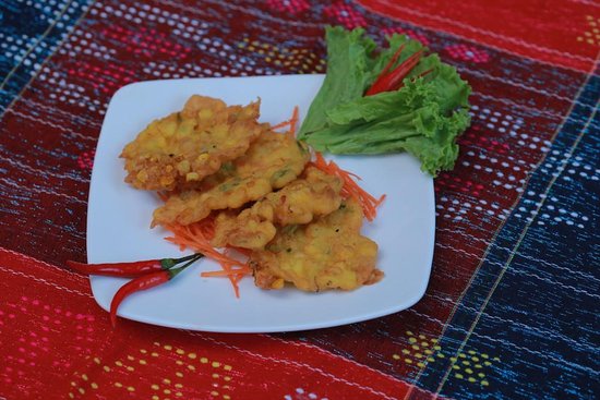 vn010011